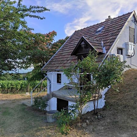 Kishaz A Szolohegyen Apartment Balatonakali Bagian luar foto