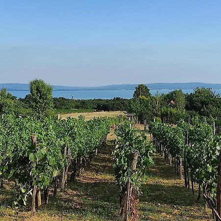Kishaz A Szolohegyen Apartment Balatonakali Bagian luar foto