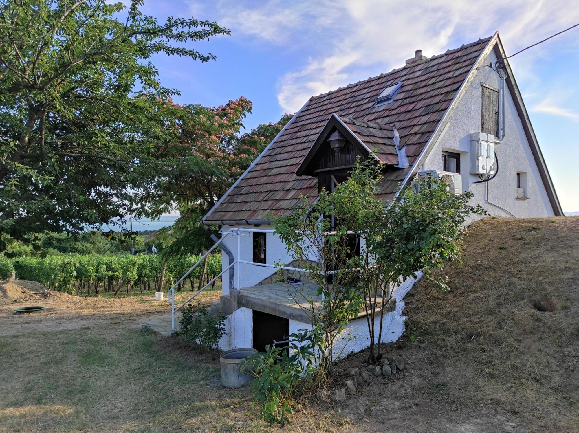 Kishaz A Szolohegyen Apartment Balatonakali Bagian luar foto