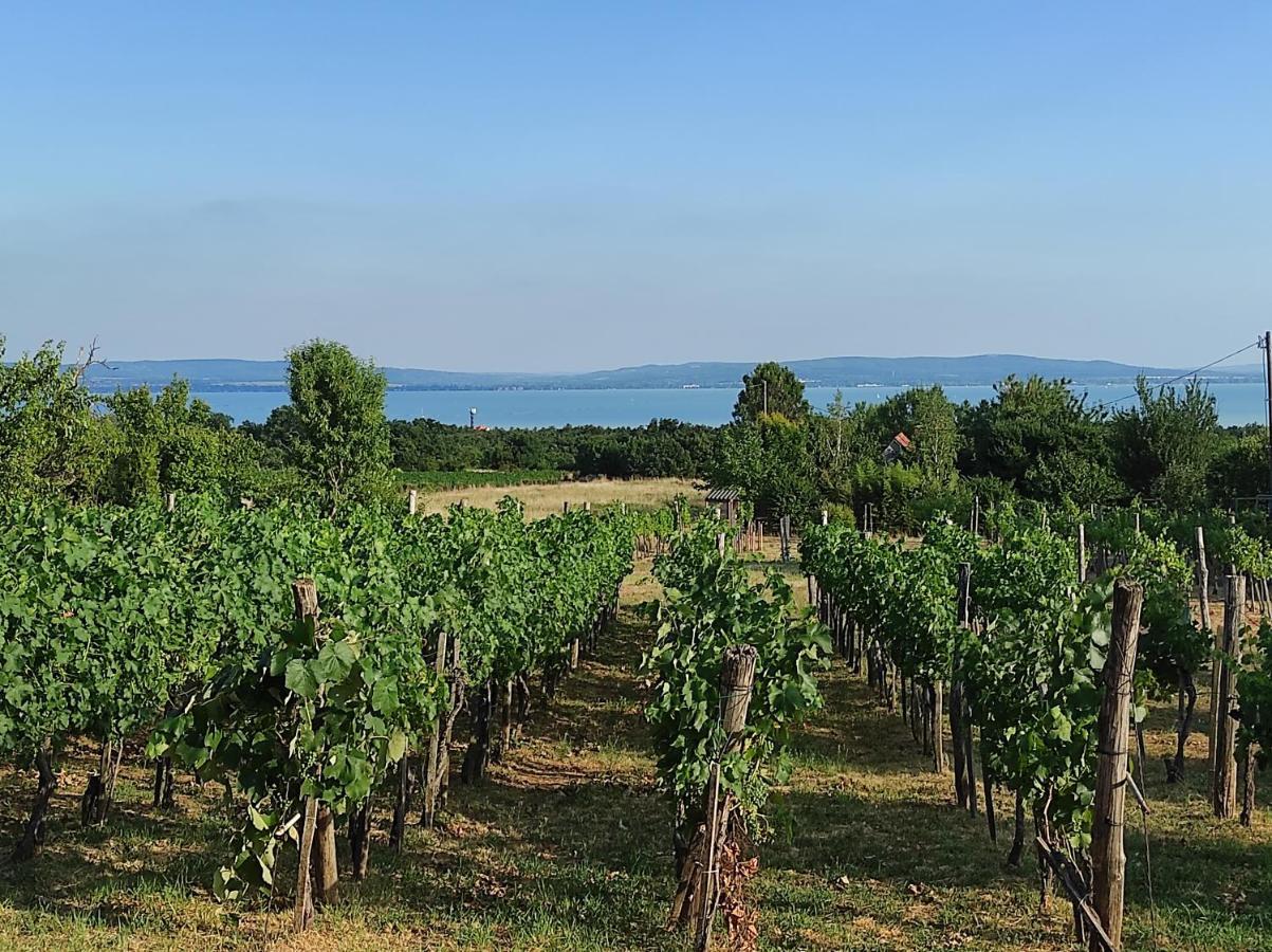 Kishaz A Szolohegyen Apartment Balatonakali Bagian luar foto